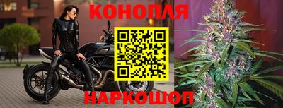 соль ск Ипатово